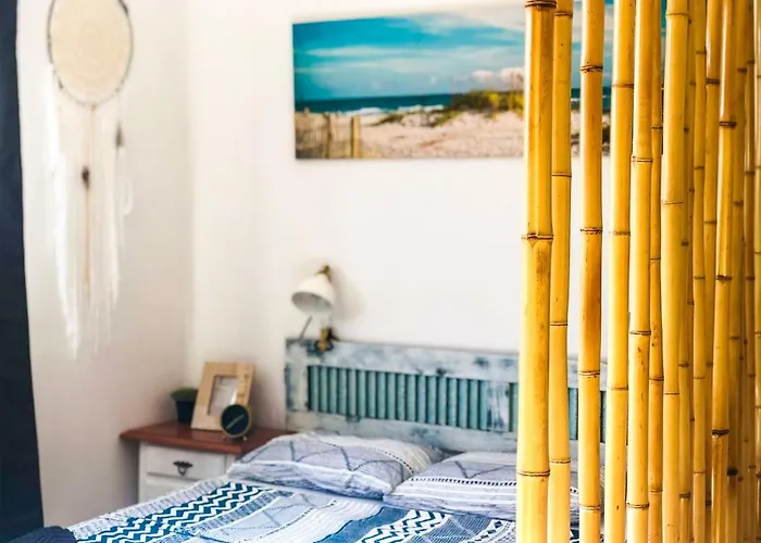 Aloe Studio