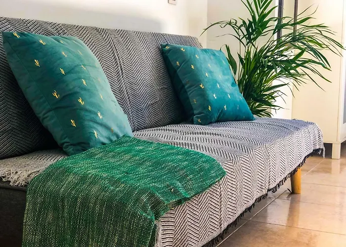 Aloe Studio
